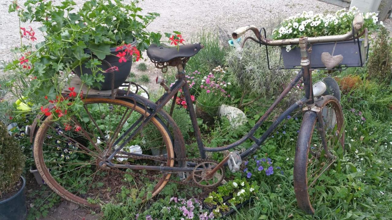 Bed & Breakfast Basse-cour De Montin Au 256 Chemin De La Rocaille A 38510 Vezeronce Curtin